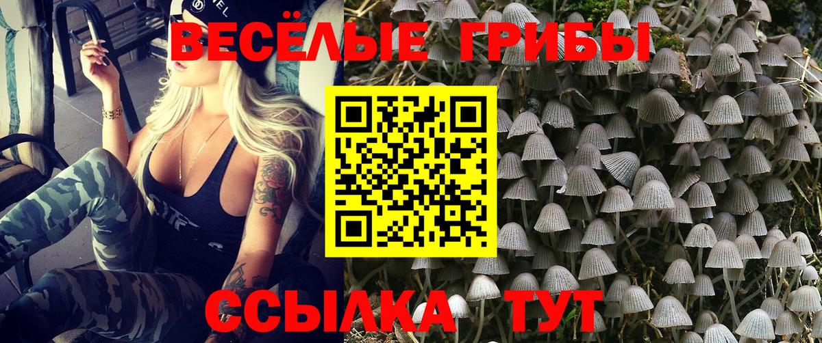 Галлюциногенные грибы GOLDEN TEACHER  Вход с VPN  Нижний Тагил 